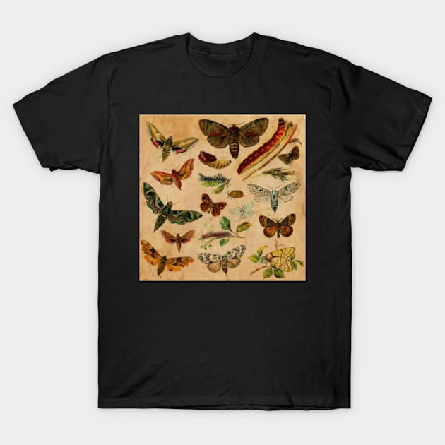 Butterfly T-Shirt by My Artsam